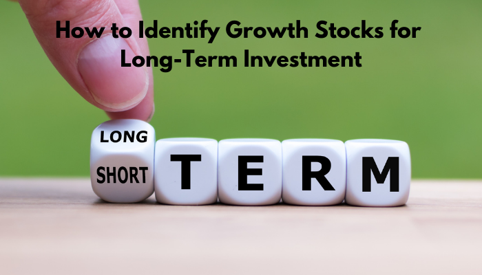 How to Identify Growth Stocks for Long-Term Investment?